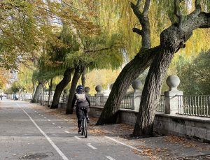 Prevención cáncer de endometrio con ejercicio físico: pasear en bici es un ejercicio aeróbico que reduce el riesgo.